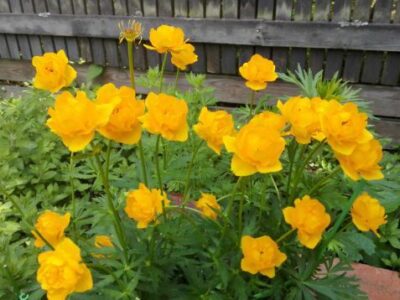 Tiedeluentosarja kevät 2026 ohjelma