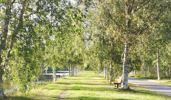 Lösningsfokuserat arbetssätt vid mötet av Nepsy-klienten (MiniNepsy)