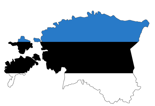 Viron jatkokurssi 5 op, etäopetus (OY)