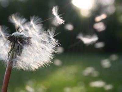 ETÄ: Maksuton infowebinaari TRE-stressinpurkuohjaajakoulutuksesta (30 op)