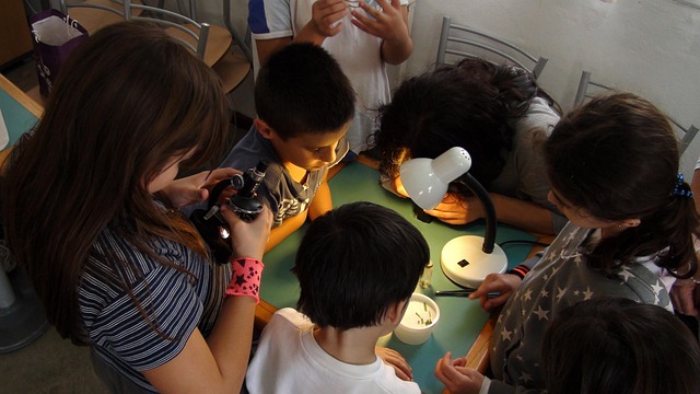 kids-183007_640